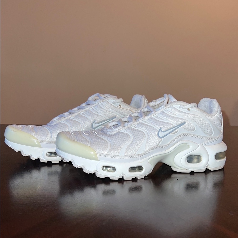 Nike Air Max Plus TNT Sneakers